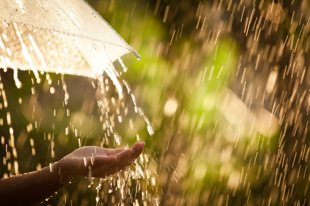 sonhar com chuva grossa